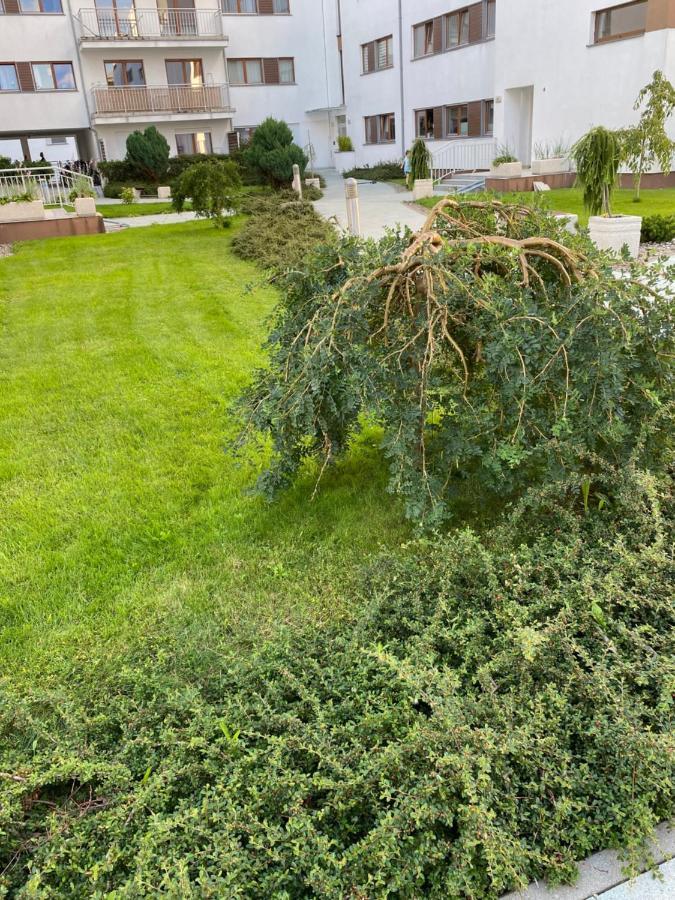 Apartament Forest Свіноуйсьце Екстер'єр фото